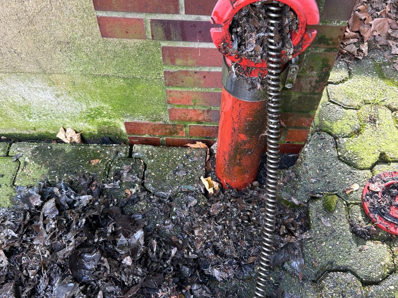 Reinigung einer Fallleitung über eine Revisionsöffnung